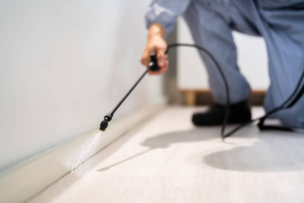 Bed Bug Pre-Treatment Preparation Assessment in Rockwell Place