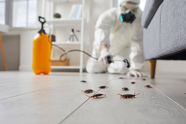 Post-Treatment Bed Bug Interceptor Monitoring in Rockwell Place