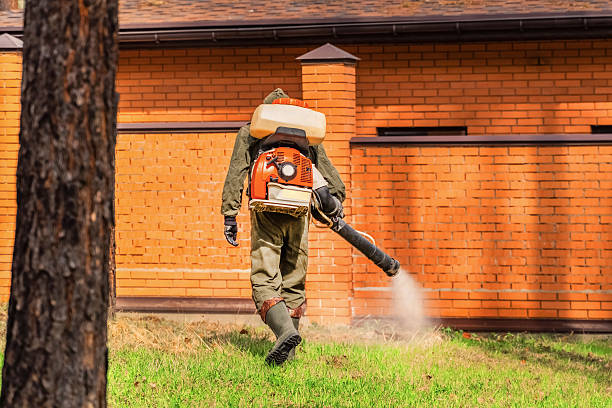 Bed Bug Clearance Verification and Documentation in Rockwell Place